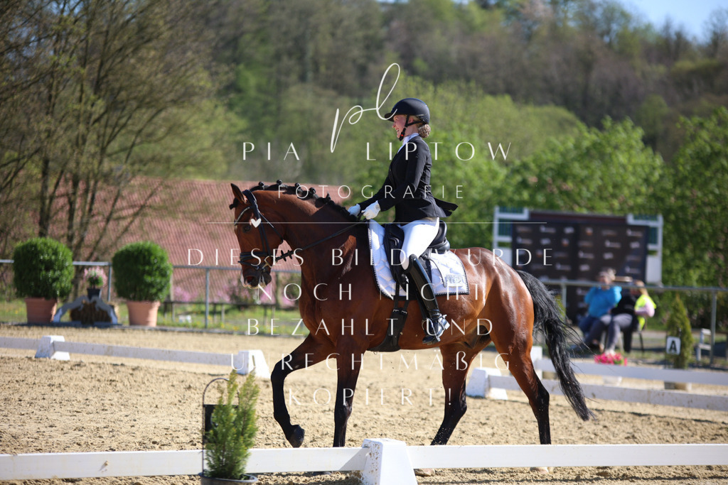 IMGT8954 | pl-fotografie