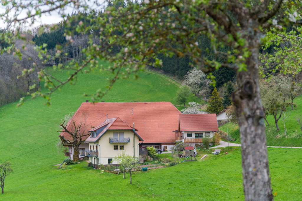 Blick auf den Buchjockenhof | Blick auf den Buchjockenhof - Realisiert mit Pictrs.com
