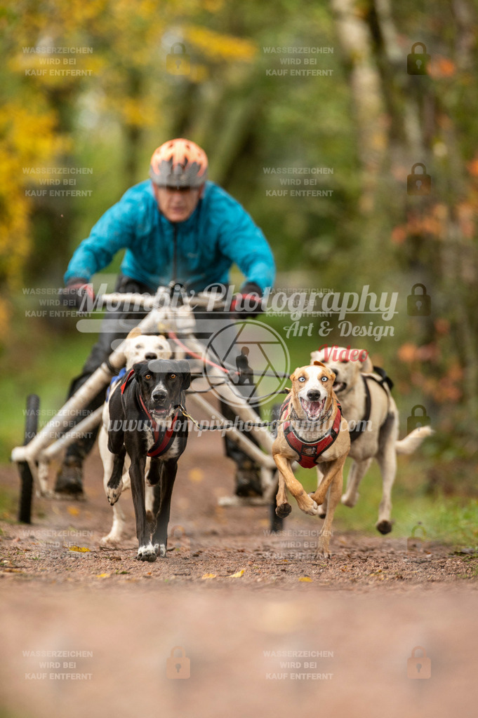 TSB_2023_E4_Kart-7 | mompixphotography