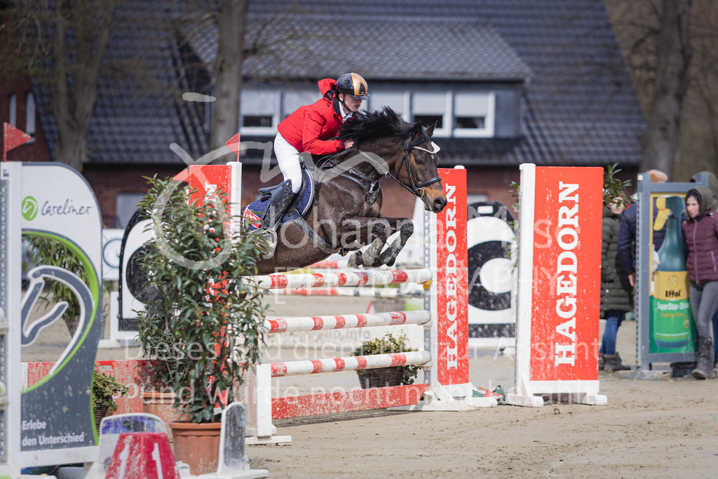 230402_MünsterHandorf_Teamspringen-556 | Deine schönsten Turniermomente als professionelle Fotos! Entdecke hochwertige Pferdesport-Fotografie im Online-Shop. Jetzt Fotos finden & bestellen!