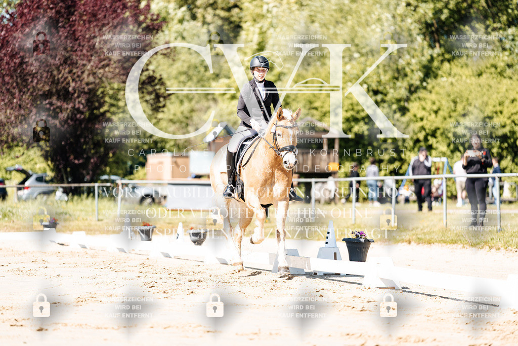 CK904982 | Turnierfotografie Pferdefotografie Trier Rheinland-Pfalz Pferdesport Reitsport Tierfotografie Sportfotografie Pferdevideo Pferdevideografie Equestrianvideography equestrianphotography  - Realisiert mit Pictrs.com