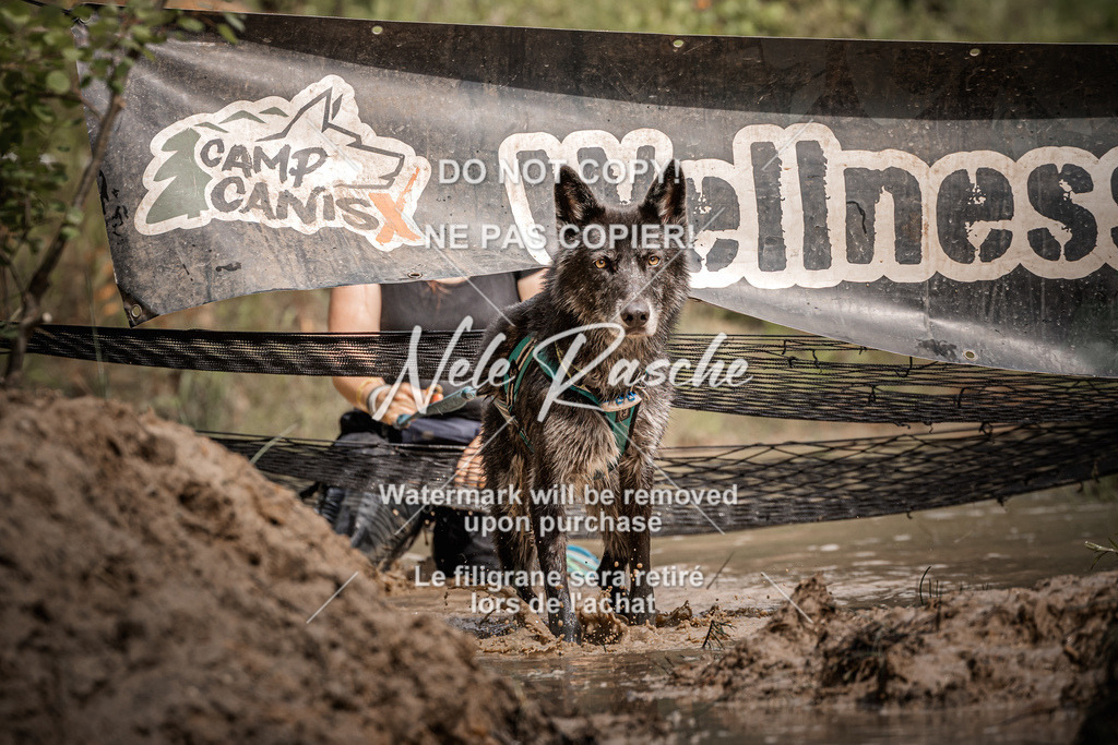 nelerasche_Hoope2026_Sa1100-1130_133 | nelerasche
