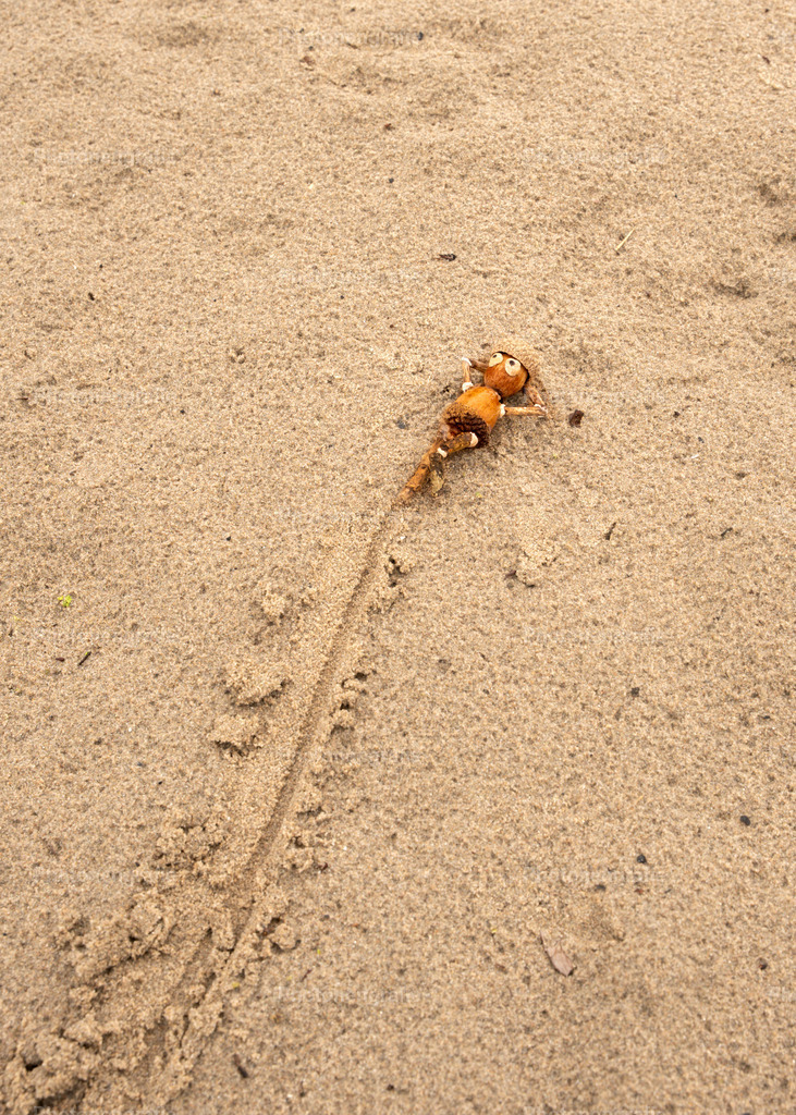 Manni ist angekommen | Photonengrafie´s Shop - Realisiert mit Pictrs.com