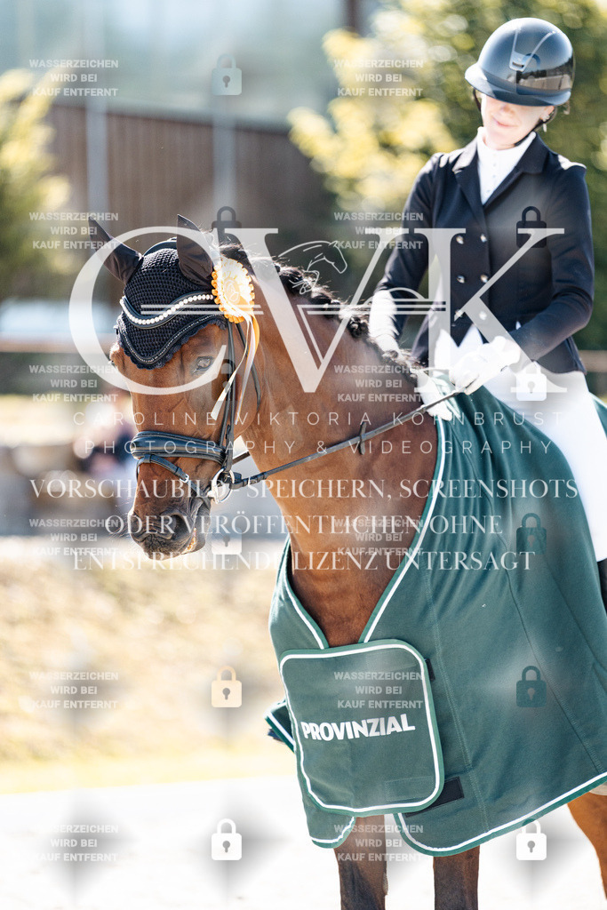 CK904243 | Turnierfotografie Pferdefotografie Trier Rheinland-Pfalz Pferdesport Reitsport Tierfotografie Sportfotografie Pferdevideo Pferdevideografie Equestrianvideography equestrianphotography  - Realisiert mit Pictrs.com