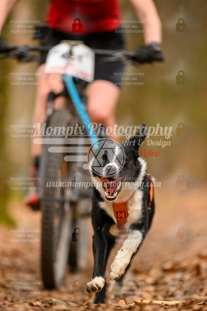 MompixPhotography_Habay2025_SA_Bike-153 | PayLife