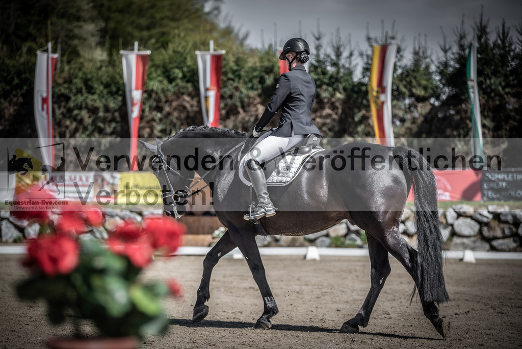 DSC_0253 | equestrian-live-com