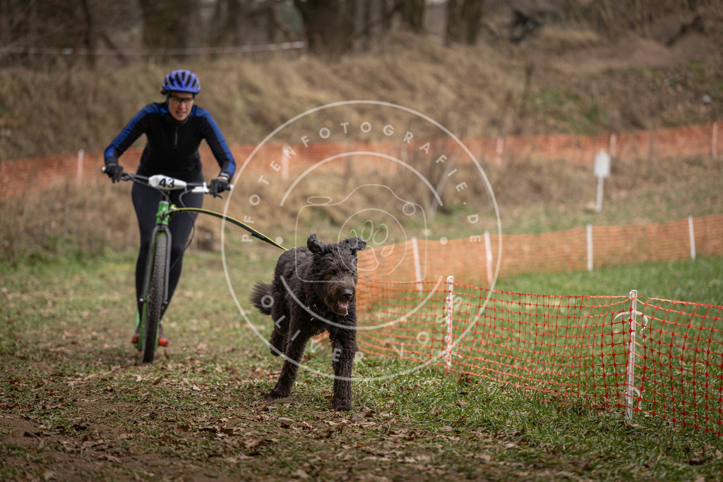Pfotenfotografie_DV3A0640 | Hundefotografie, Tierfotograf, Pfotenfotografie, Fotoshooting Hund, Hunde Portrait, Hundesport, Hundeportraits, Heideshooting, Hunde, Sportfotograf, Hundefotograf, Turnierhundsport, THS,  - Realisiert mit Pictrs.com