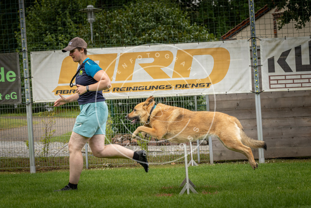 Pfotenfotografie_DV3A5477 | Hundefotografie, Tierfotograf, Pfotenfotografie, Fotoshooting Hund, Hunde Portrait, Hundesport, Hundeportraits, Heideshooting, Hunde, Sportfotograf, Hundefotograf, Turnierhundsport, THS,  - Realisiert mit Pictrs.com