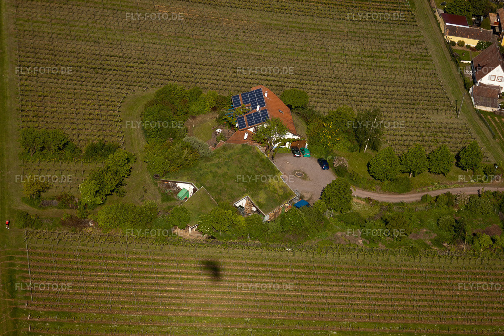 Luftbild: BiolandWeinbau Unterm Grassdach Weingut Marzolph im Ortsteil Wollmesheim in Landau im Bundesland Rheinland-Pfalz in Deutschland. Foto: IMG_27268.jpg vom 23.05.2010 durch Werner Riehm/FLY-FOTO.de