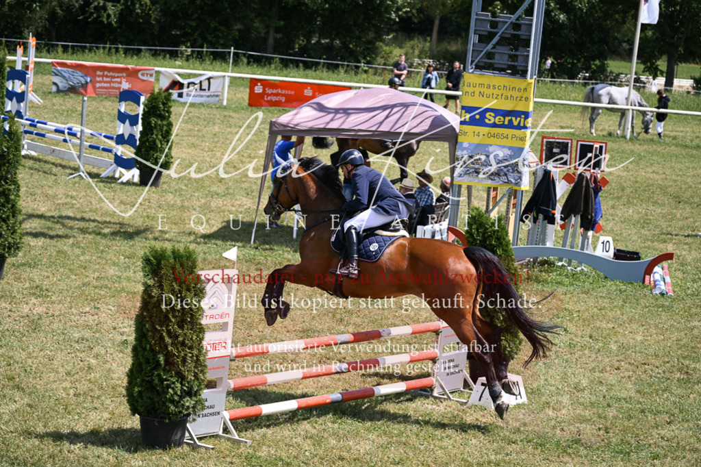 DSC_9807 | Pferde- und Turnierfotografie in Westsachsen. Pferdeportraits, Auftragszeichnungen und intuitive Kunst.