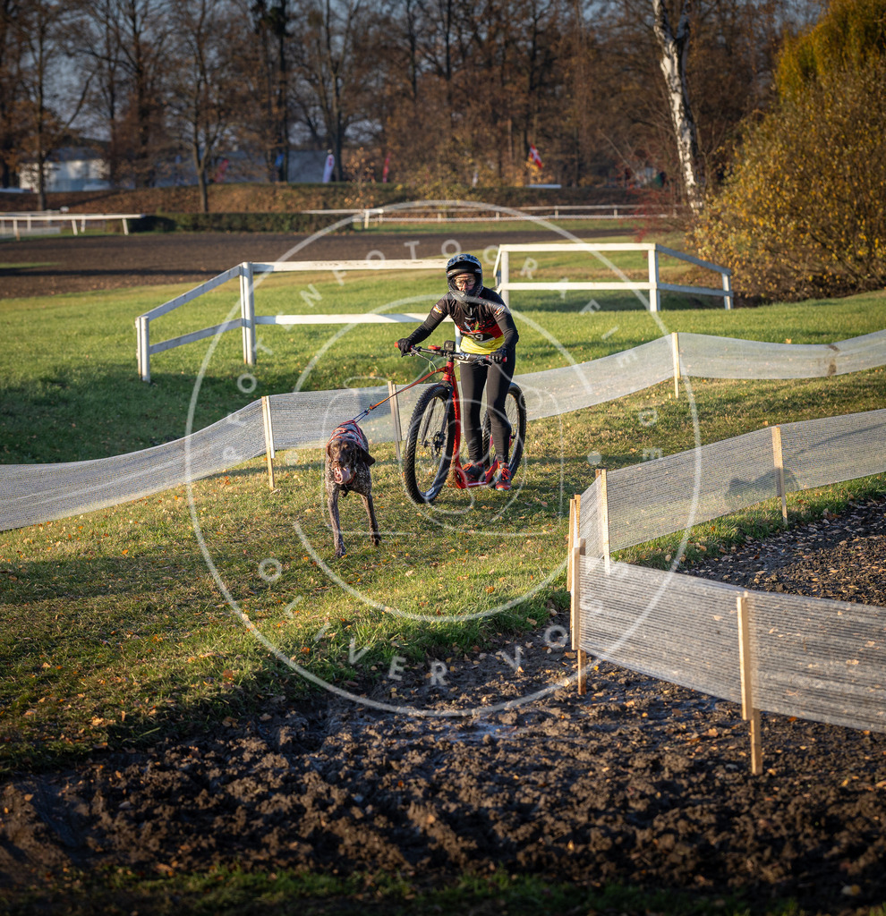 CaniXpix_DV3A0197 | Hundefotografie, Tierfotograf, Pfotenfotografie, Fotoshooting Hund, Hunde Portrait, Hundesport, Hundeportraits, Heideshooting, Hunde, Sportfotograf, Hundefotograf, Turnierhundsport, THS,  - Realisiert mit Pictrs.com