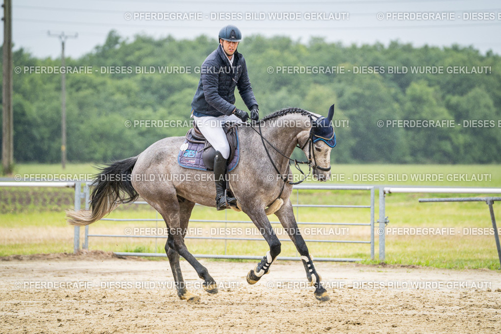 DSC02868 | Pferdegrafie