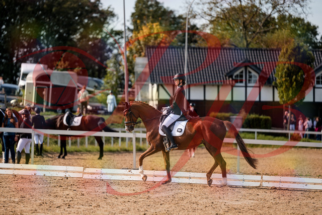 2026_10_03_Siefer-Hof_132809_Z63_88011057 | Professionelle Reitsport-, Turnier- und Eventfotografie von Robert Broda. Galerien mit ausgewählten und bearbeiteten Bildern direkt online ansehen und bestellen.