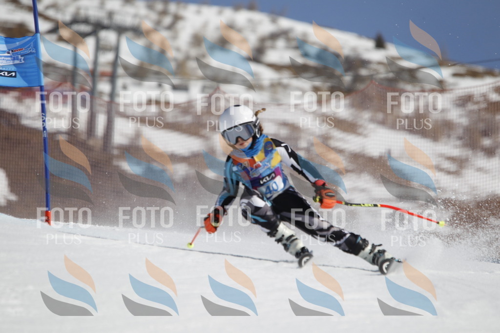 _U3G9220 | holidayphoto