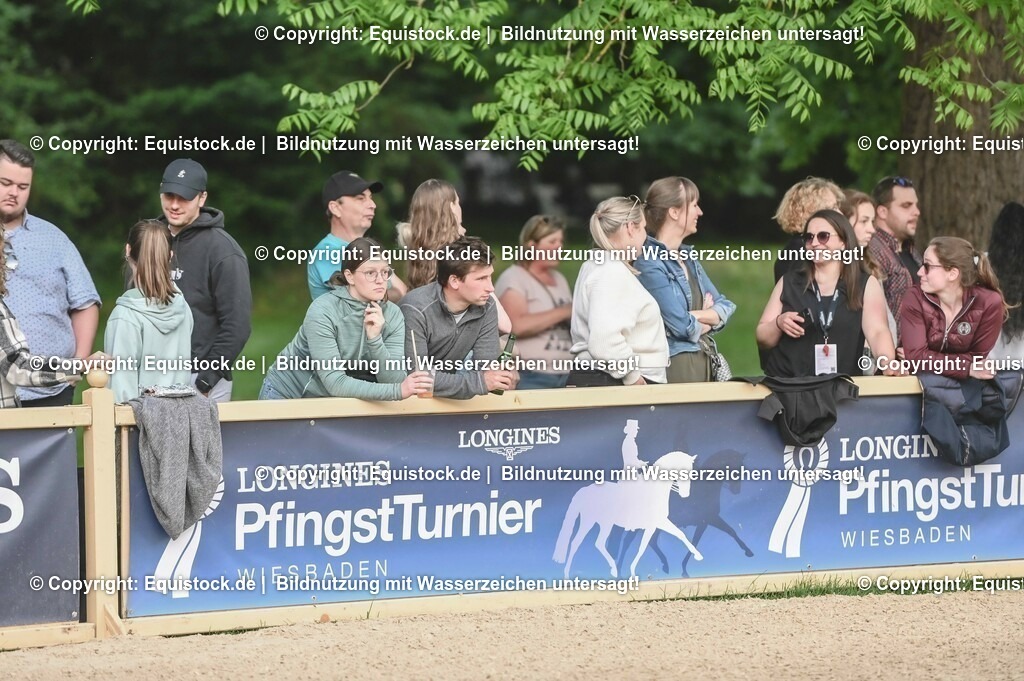 D78_3375 | equistock