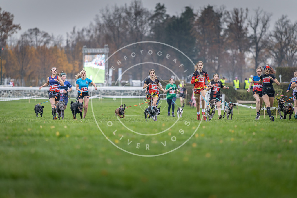 CaniXpix_DV3A7096 | Hundefotografie, Tierfotograf, Pfotenfotografie, Fotoshooting Hund, Hunde Portrait, Hundesport, Hundeportraits, Heideshooting, Hunde, Sportfotograf, Hundefotograf, Turnierhundsport, THS,  - Realisiert mit Pictrs.com