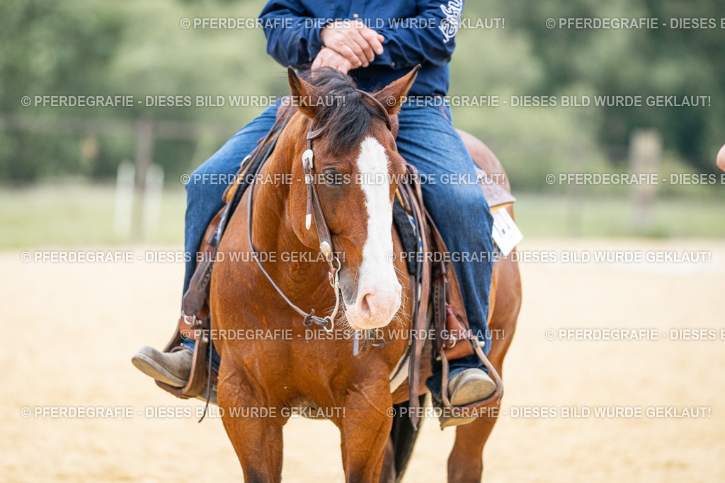 DSC06911 | Pferdegrafie