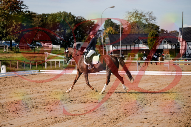 2026_10_03_Siefer-Hof_114730_Z63_26554911 | Professionelle Reitsport-, Turnier- und Eventfotografie von Robert Broda. Galerien mit ausgewählten und bearbeiteten Bildern direkt online ansehen und bestellen.