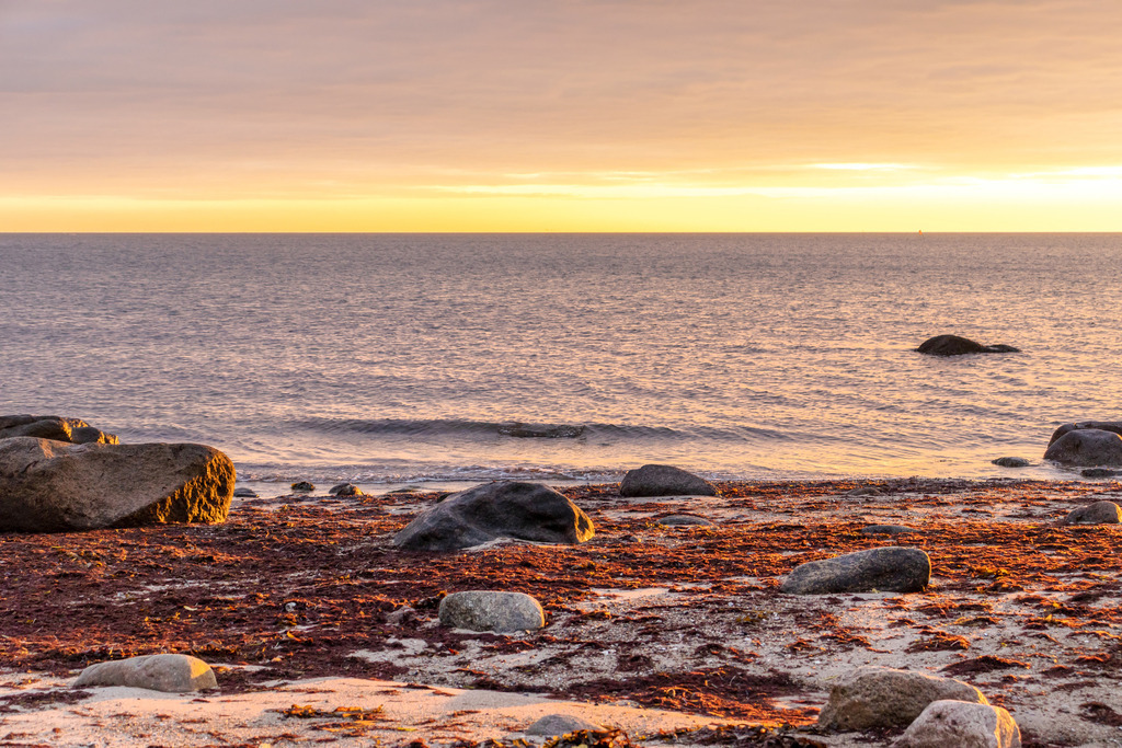 Wandbild: Sonnenaufgang am Strand auf Fehmarn | Dieses Wandbild im Querformat zeigt einen schönen Sonnenaufgang am Strand auf Fehmarn. Auf dem Strand befindet sich roter Seetang.  - Realisiert mit Pictrs.com