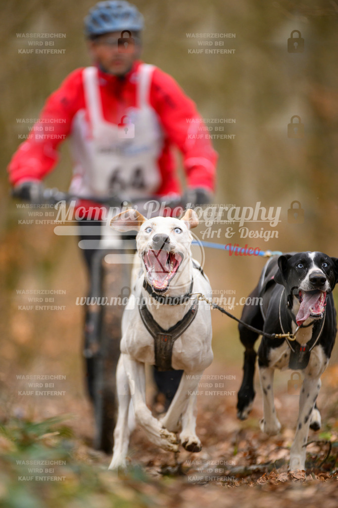 MompixPhotography_ReiatRennen2024_SO_DS2-30 | PayLife