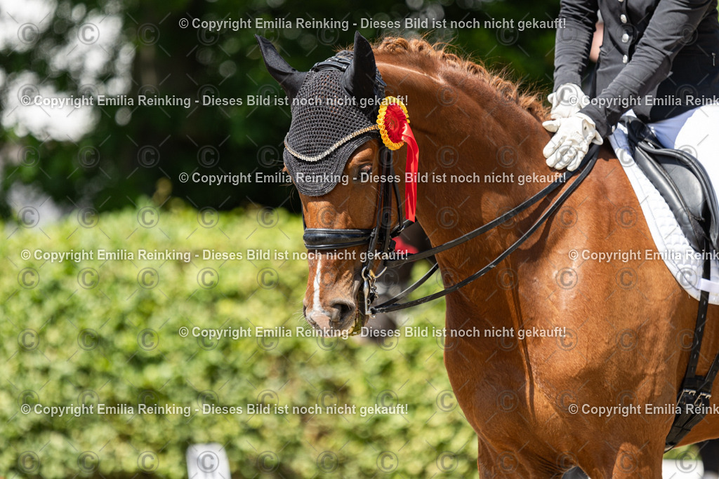 CL5A9322 | Emilia Reinking Fotografie - Realisiert mit Pictrs.com