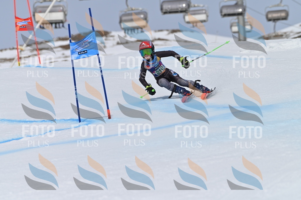 BGV_4060 | holidayphoto