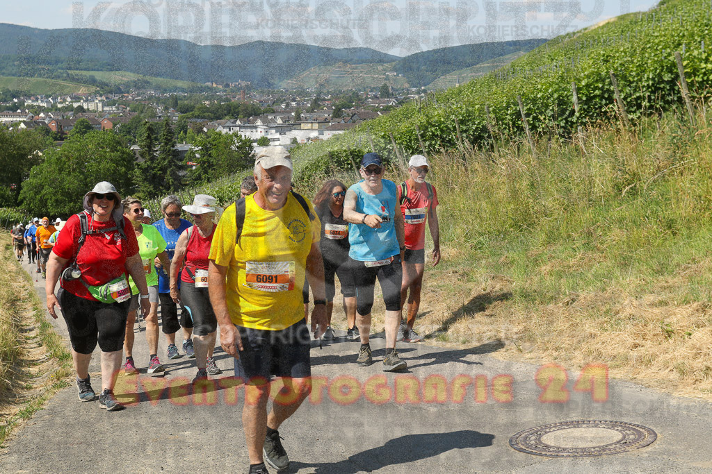 230617_1110_EV9_7785 | Sportfotografie im Rhein-Sieg Kreis, Köln, Bonn, NRW, Rheinland Pfalz, Hessen, etc. Unser Tätigkeitsfeld umfasst den Laufsport vom Volkslauf über den Marathon, Duathlon, Triathon bis zum Ultralauf wie Kölnpfad Ultra oder Schindertrail.