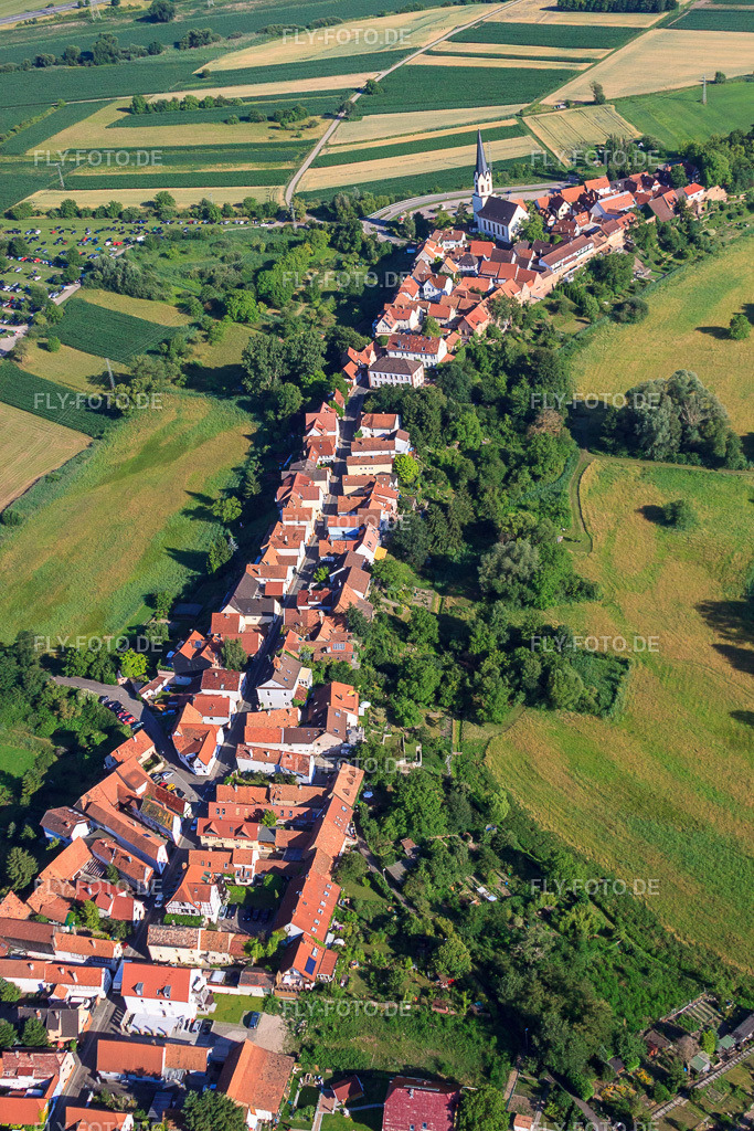Hinterstädel von Norden | Luftbild: Hinterstädel von Norden in Jockgrim im Bundesland Rheinland-Pfalz in Deutschland. Foto: IMG_42472.jpg vom 27.06.2011 durch Werner Riehm/FLY-FOTO.de - Realisiert mit Pictrs.com