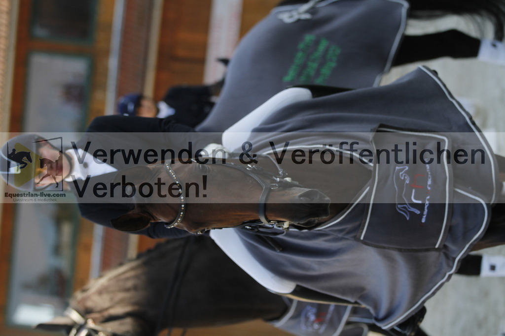 _MG_2910 | equestrian-live-com