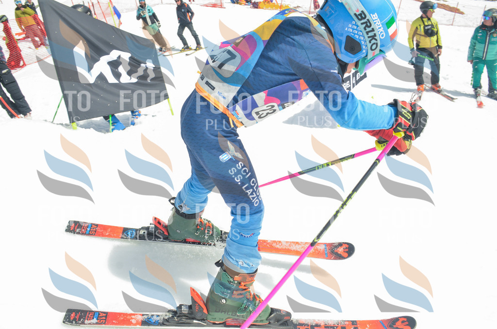 _ELE7391 | holidayphoto