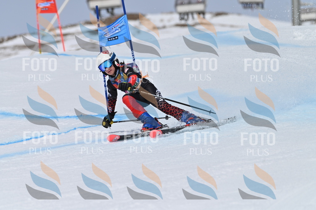 BGV_3814 | holidayphoto