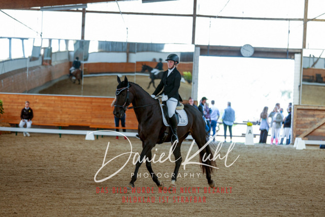 _62_7521 | Turniersportfotografie; Pferdefotografie; Dressurfotografie