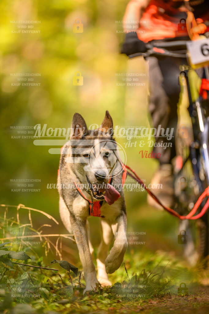 MompixPhotography_Yens2025_B2-106 | PayLife