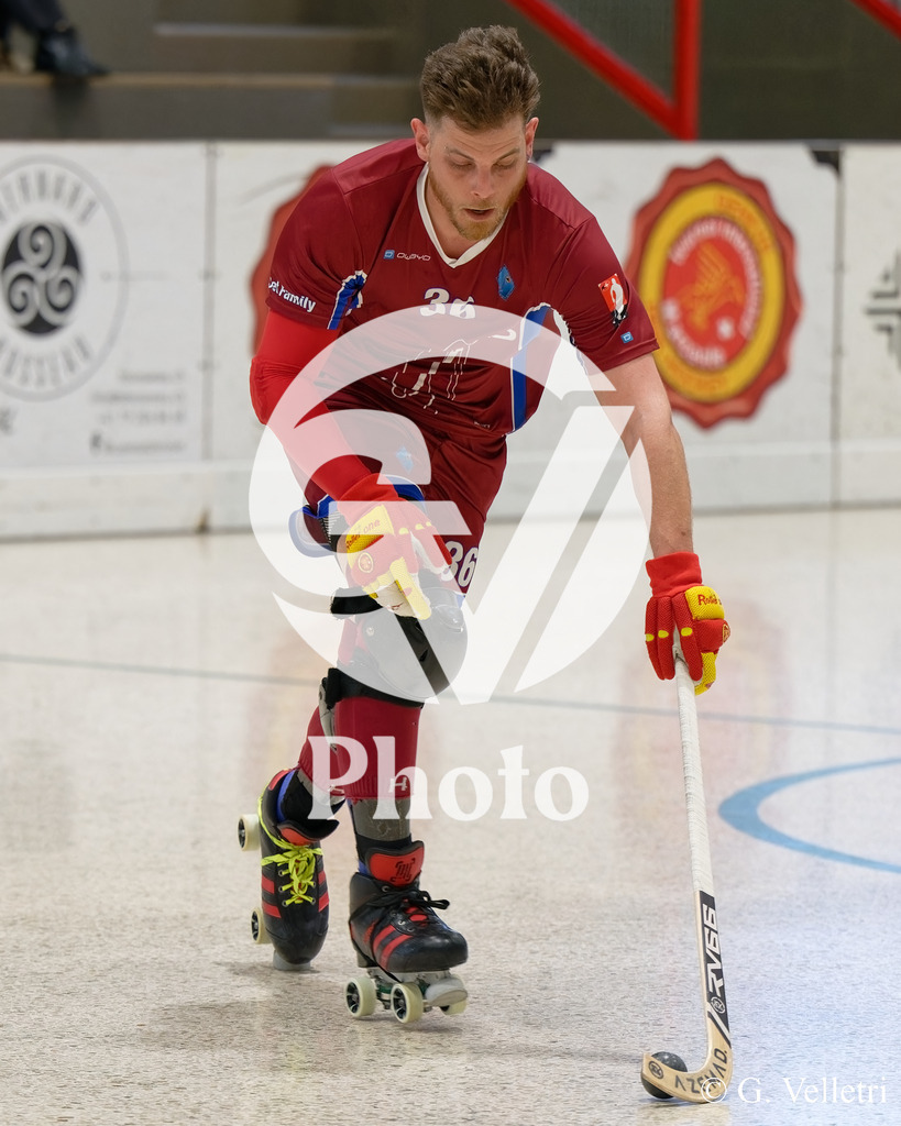 DSC_0175 | Velletri Photo