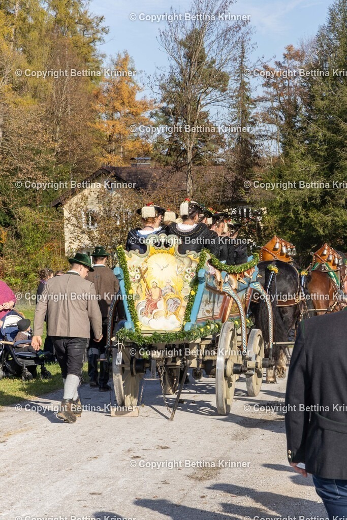 LBT24-1556 | foto-bettina-krinner - Realisiert mit Pictrs.com