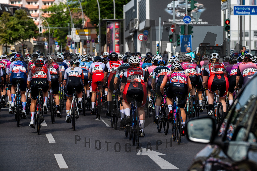 _DKP7893 | Drew Kaplan Photography