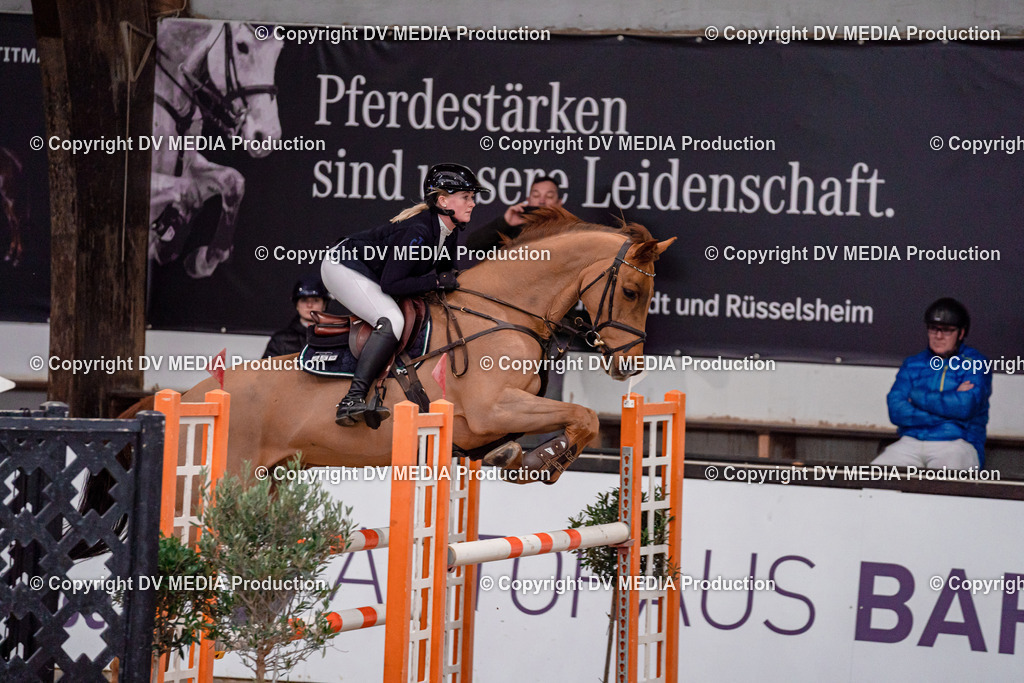 Kranichstein Tag 2-861 | dv-media-shop - Realisiert mit Pictrs.com