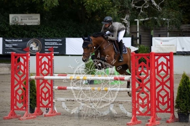 2B4A3534 | pixelfaenger - Realisiert mit Pictrs.com