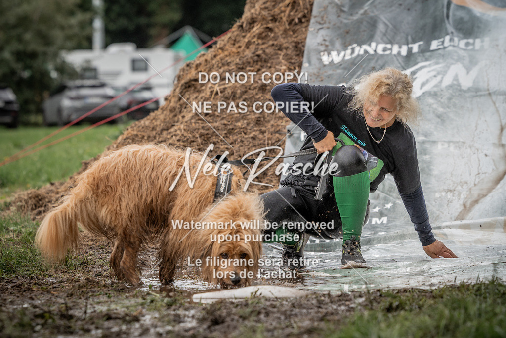 nelerasche_Wingst_Sa1300-1330_343 | nelerasche