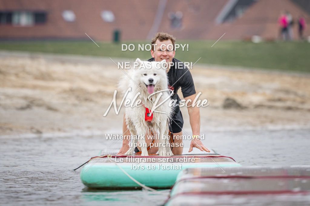 nelerasche_Hulsbeek_Sa1030-1100_312 | nelerasche