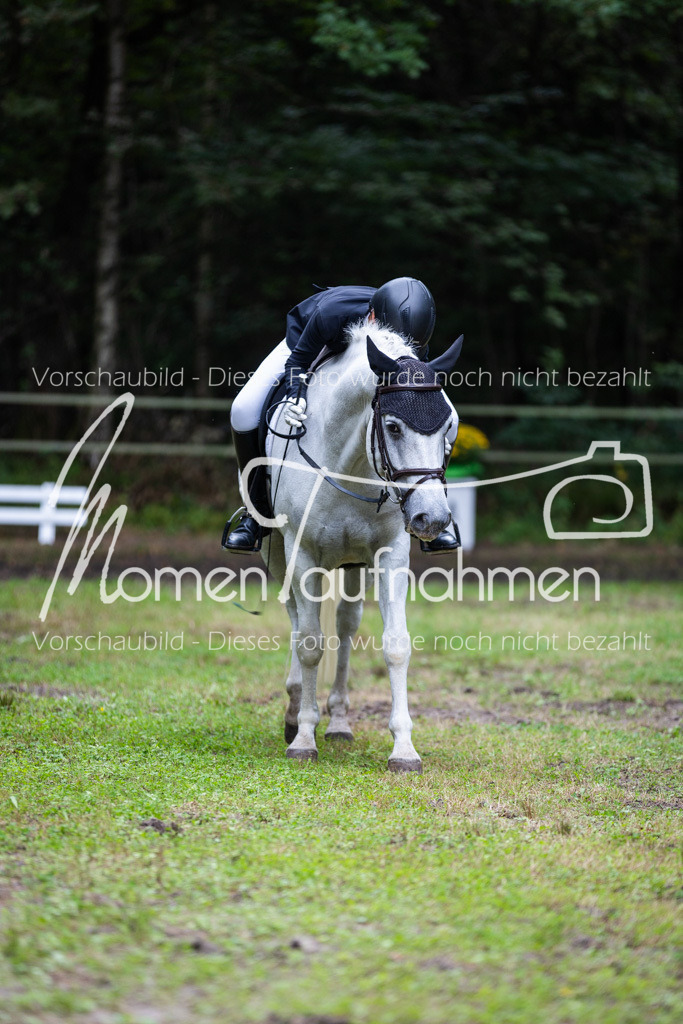 HB-A-Dressur-103 | MomenTaufnahmen Pferdesportfotos