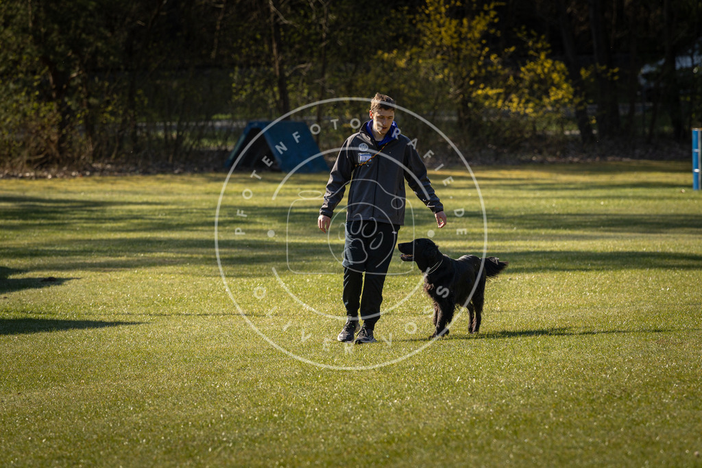 Pfotenfotografie_DV3A0164 | Hundefotografie, Tierfotograf, Pfotenfotografie, Fotoshooting Hund, Hunde Portrait, Hundesport, Hundeportraits, Heideshooting, Hunde, Sportfotograf, Hundefotograf, Turnierhundsport, THS,  - Realisiert mit Pictrs.com