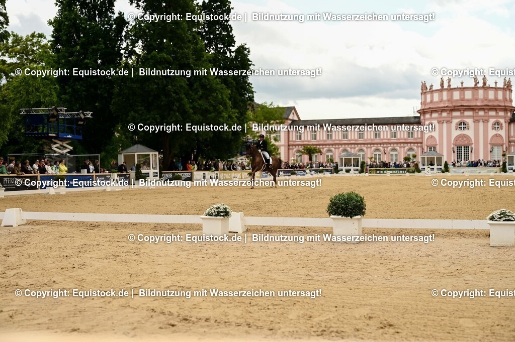 20250607_1_GP-Tour_Dressage_0249 | Foto: Thomas Hartig