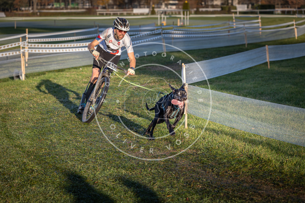 CaniXpix_0L8A3071 | Hundefotografie, Tierfotograf, Pfotenfotografie, Fotoshooting Hund, Hunde Portrait, Hundesport, Hundeportraits, Heideshooting, Hunde, Sportfotograf, Hundefotograf, Turnierhundsport, THS,  - Realisiert mit Pictrs.com