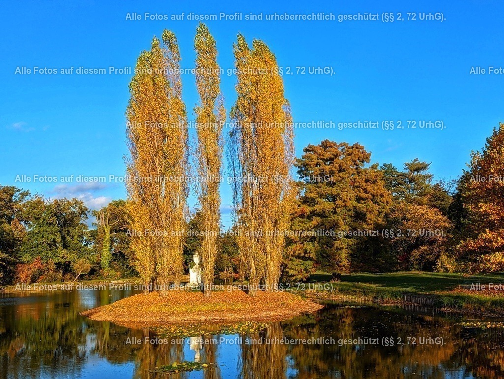 PXL_20221022_143717725-01 | krollfotografie - Realisiert mit Pictrs.com