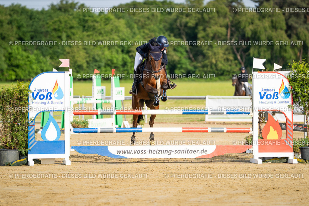 DSC02926 | Pferdegrafie