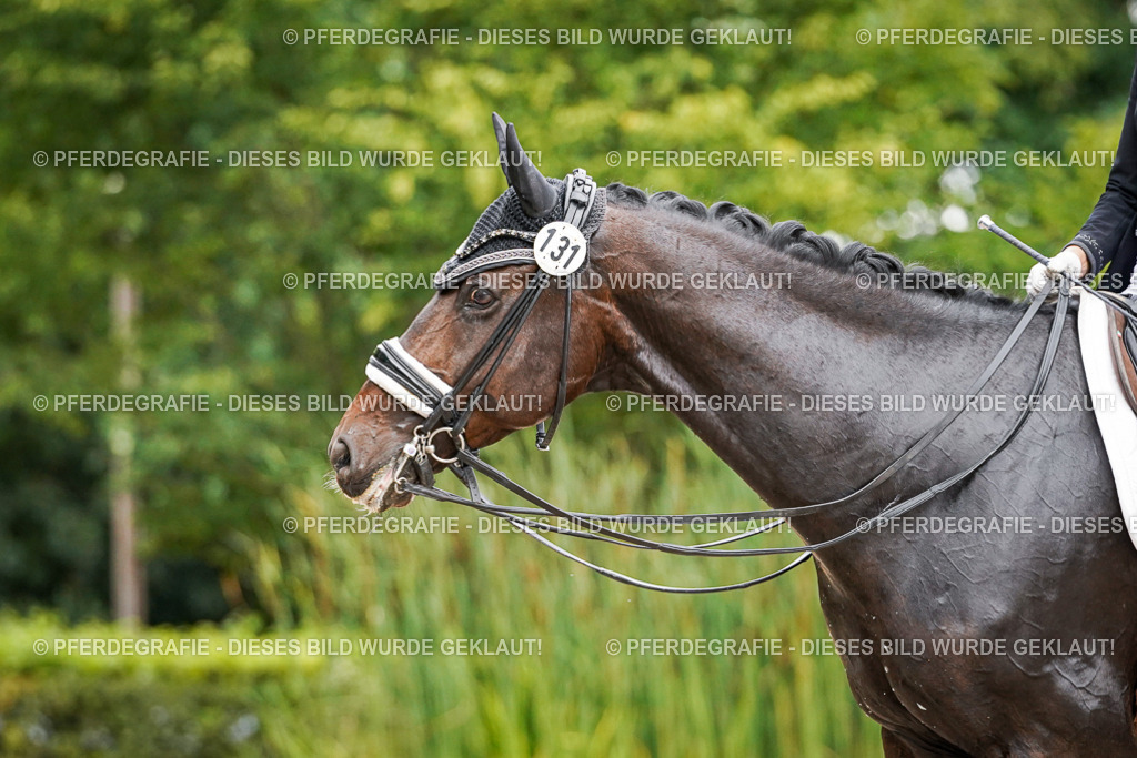 DSC06850 | Pferdegrafie