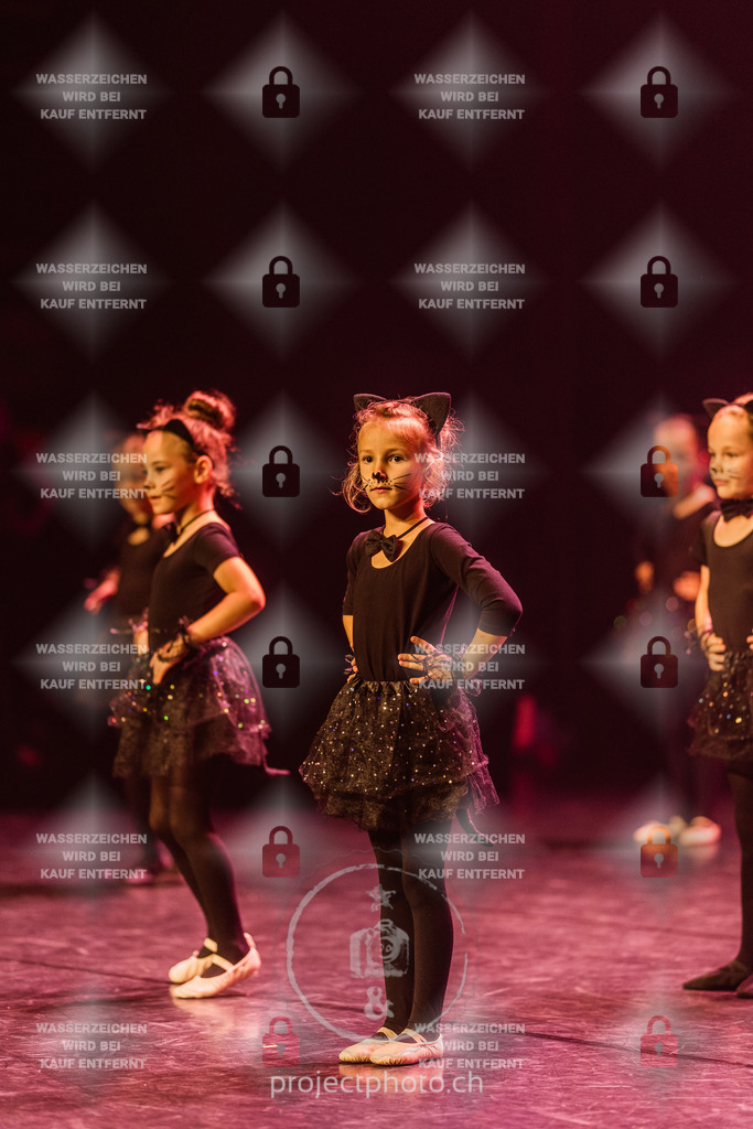 EXPORT_FULL-8526 | projectphoto - Realisiert mit Pictrs.com