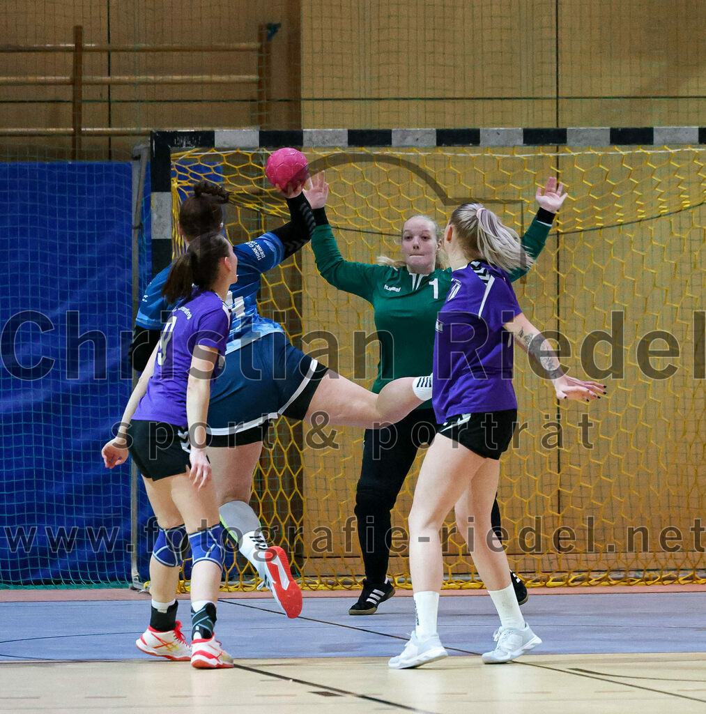 2023-01-21_034_SpVgg_Altenerding_gegen_TSV_Karlsfeld | Erding, Deutschland, 21.01.2023:
Handball, Bezirksoberliga Frauen Altbayern 2022 / 2023, 8. Spieltag, SpVgg Altenerding gegen TSV Karlsfeld, Endergebnis: 28:24

Julia Kranich (SpVgg Altenerding, #9), Janine Klapproth (TSV Eintracht Karlsfeld, #24), Torfrau Hanna Obermair (SpVgg Altenerding, #1), Selina Becker (SpVgg Altenerding, #69)

Foto: Christian Riedel / fotografie-riedel.net