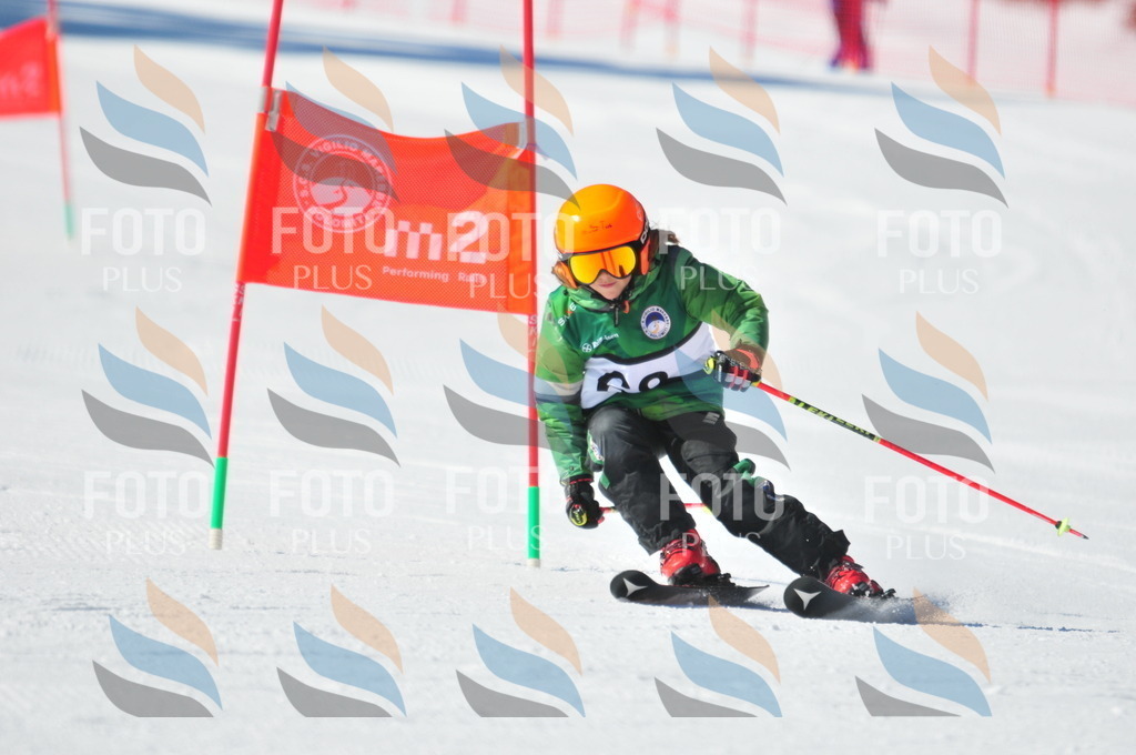 C2262 | holidayphoto